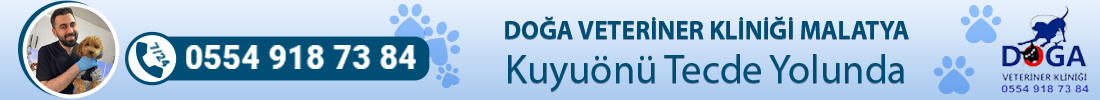 Reklam