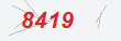 Güvenlik Kodu