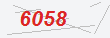 Güvenlik Kodu
