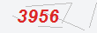 Güvenlik Kodu