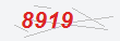 Güvenlik Kodu