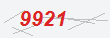 Güvenlik Kodu