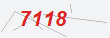 Güvenlik Kodu
