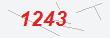 Güvenlik Kodu