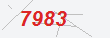 Güvenlik Kodu