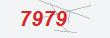 Güvenlik Kodu