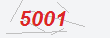 Güvenlik Kodu