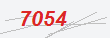 Güvenlik Kodu