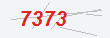 Güvenlik Kodu