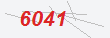 Güvenlik Kodu