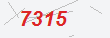 Güvenlik Kodu