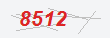 Güvenlik Kodu