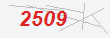 Güvenlik Kodu