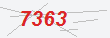Güvenlik Kodu