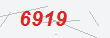 Güvenlik Kodu