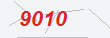Güvenlik Kodu