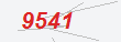Güvenlik Kodu