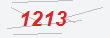 Güvenlik Kodu