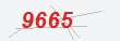 Güvenlik Kodu