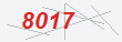 Güvenlik Kodu