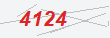 Güvenlik Kodu