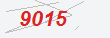Güvenlik Kodu
