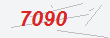 Güvenlik Kodu