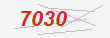 Güvenlik Kodu