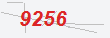 Güvenlik Kodu