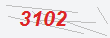 Güvenlik Kodu