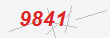 Güvenlik Kodu