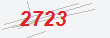 Güvenlik Kodu