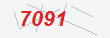 Güvenlik Kodu