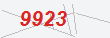 Güvenlik Kodu