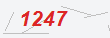 Güvenlik Kodu