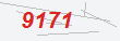 Güvenlik Kodu