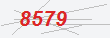 Güvenlik Kodu
