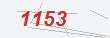 Güvenlik Kodu