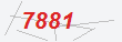Güvenlik Kodu