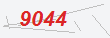 Güvenlik Kodu
