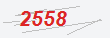 Güvenlik Kodu