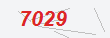 Güvenlik Kodu
