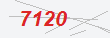 Güvenlik Kodu