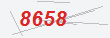 Güvenlik Kodu