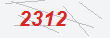 Güvenlik Kodu