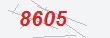 Güvenlik Kodu