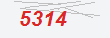Güvenlik Kodu