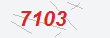 Güvenlik Kodu