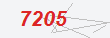Güvenlik Kodu
