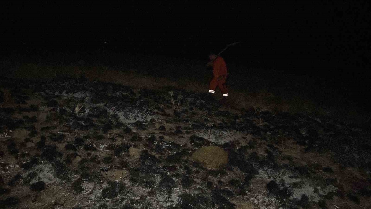 Çorum’da arazi yangının ormana sıçramasını ekipler önledi
